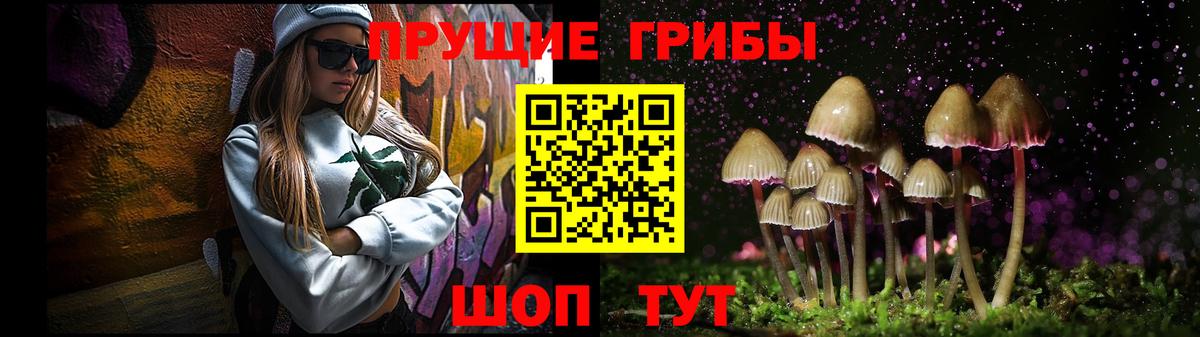 Галлюциногенные грибы Psilocybe Павлово